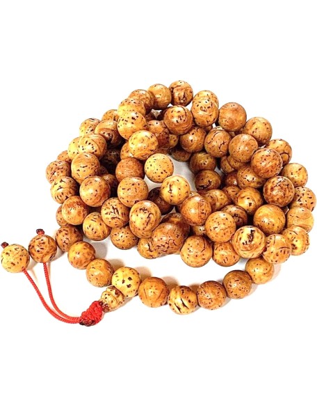 Bodhi Seed Mala 108 Beads for Meditation from Bodh Gaya India