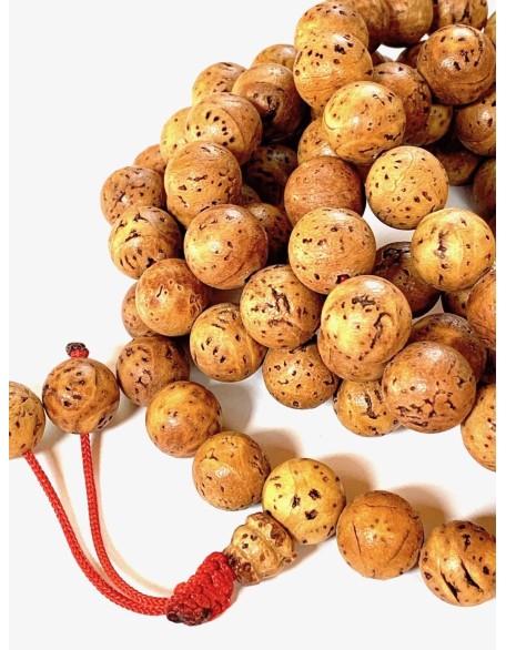 Bodhi Seed Mala 108 Beads for Meditation from Bodh Gaya India