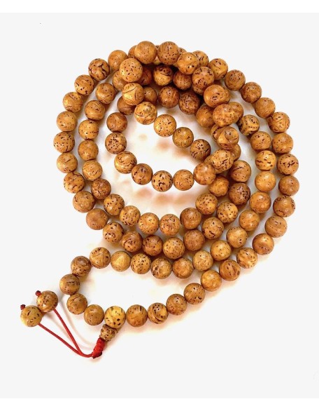 Bodhi Seed Mala 108 Beads for Meditation from Bodh Gaya India