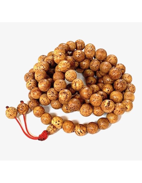 Bodhi Seed Mala 108 Beads for Meditation from Bodh Gaya India