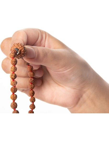 Wonder Care - Original Nepali Rudraksha Bead/Rudraksha Bead Natural Rudra Religious Rosary Bead